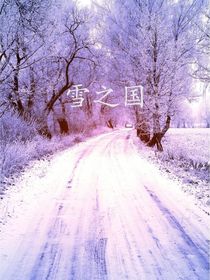 雪之国