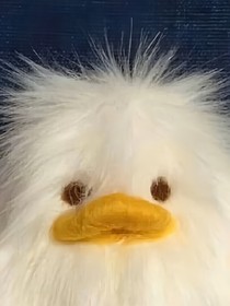 文轩极禹：末日？不存在
