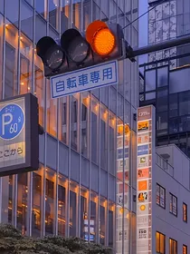 TNT：过期药物