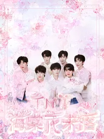 TNT：海棠花未落