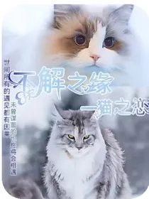 不解之缘——猫之恋（续）