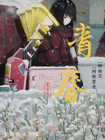 听风述五年