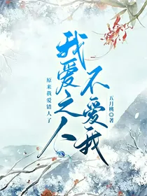 我爱之人不爱我