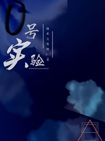 0号实验