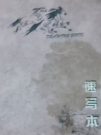 在改名中