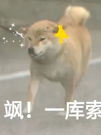 今天吃上饭了吗