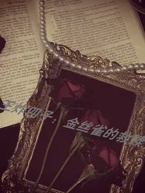 王炸四子：金丝雀的救赎