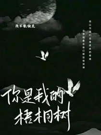 你是我的梧桐树