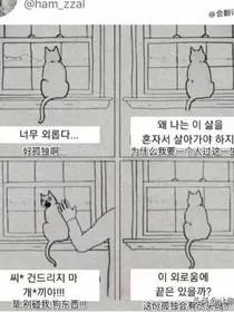 穿越成疯子的白月光