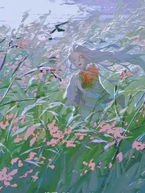 凹凸—凭风指引