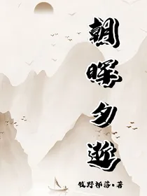 朝晖夕逝