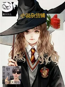 小说杂货铺