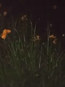 全高：系统今天自爆了吗？