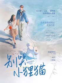 别哭，小狸猫