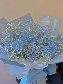 宸总的娇夫影帝掉马后