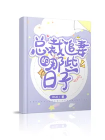 总裁追妻的那些日子