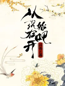 从现在开始吧！-d993