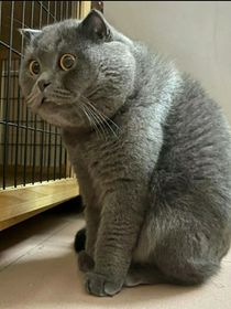 全世界禁烟