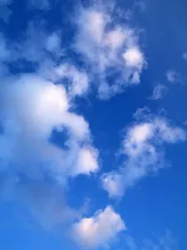 文轩祺鑫：你失言了