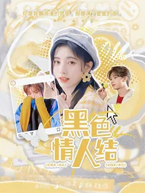 SEVENTEEN：黑色情人结