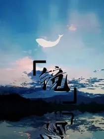 镜般人生