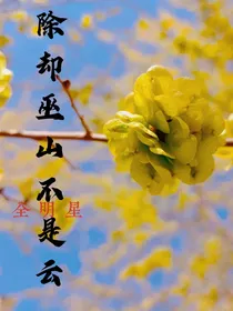 全明星：除却巫山不是云