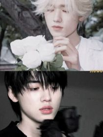 祺轩：我的白玫瑰