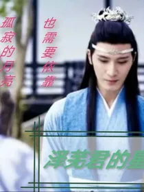 陈情令之泽芜君的星星