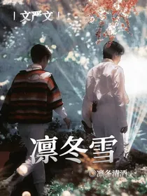 文严文：凛冬雪