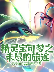 精灵宝可梦之未尽的旅途