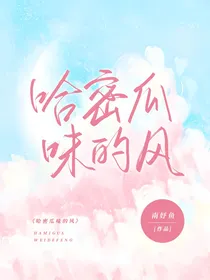 哈密瓜味的风