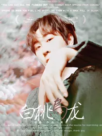 金博洋：白桃乌龙