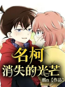 名柯：消失的光芒