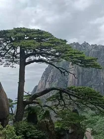 末画之爱恨纠缠