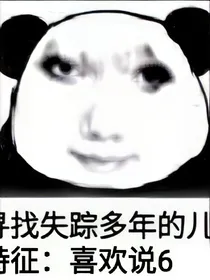 引起共鸣的日记本吧
