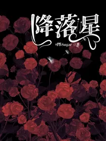 降落星