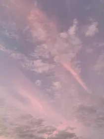 沙雕离谱的校园生活（F4篇）