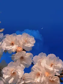 凹凸：韬光小姐不是恶徒！