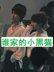 翔霖：谁家的小黑猫