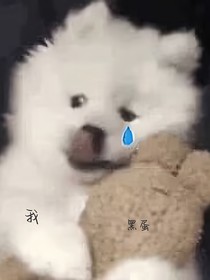 隔着网线找男人