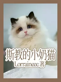 斯教的小奶猫