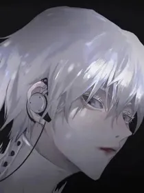 网王：立海大的继承人