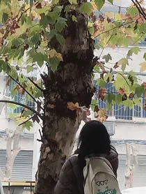 分你一杯橘子汽水
