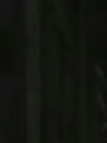 R1SE：甜甜圈秘密