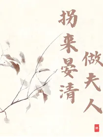 拐来晏清做夫人
