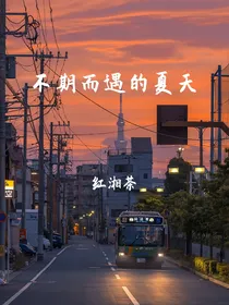 不期而遇的夏天