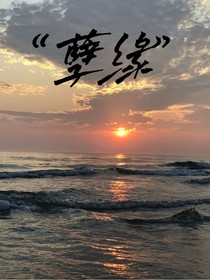 孽……缘