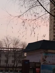 安逸与爷