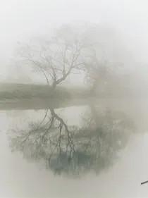 白雾纪事