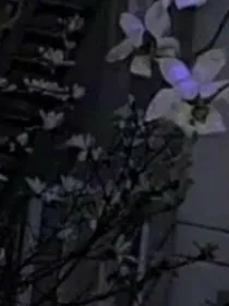 人生逆袭系统
